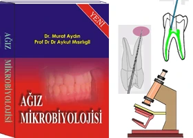 Ağız mikrobiyolojisi kitabı Murat Aydın