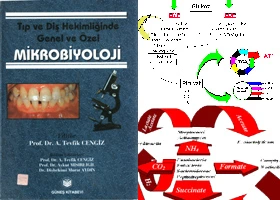 Mikrobiyoloji kitabı Murat Aydın
